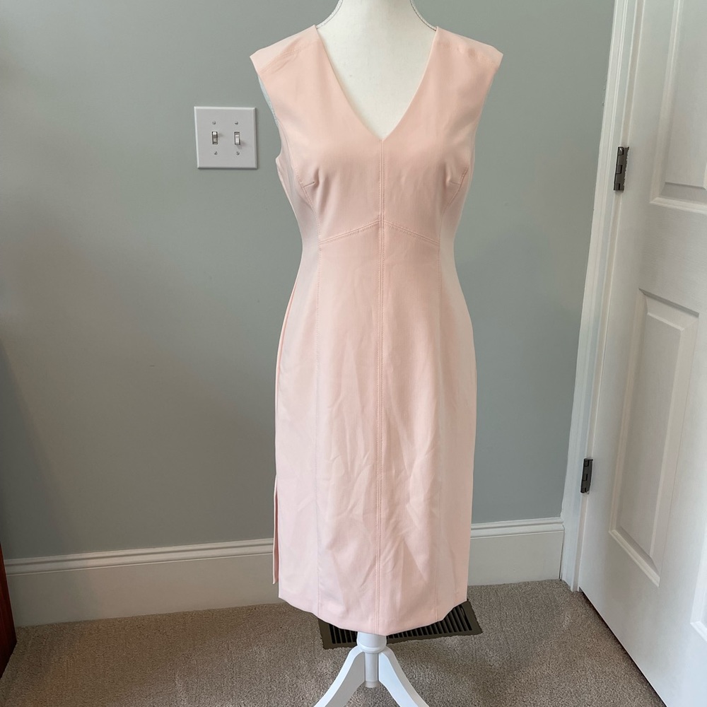 WHBM NWOT Blush Sheath Dress